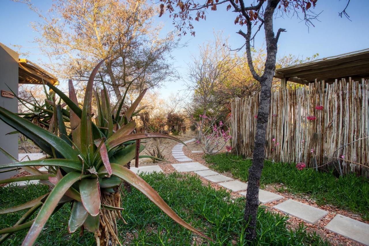 Klaserie Drift Klaserie Private Nature Reserve Εξωτερικό φωτογραφία